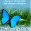 theenergyzone.ca