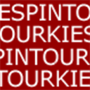 espintourki.com