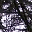 schattenwald.de.to