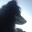 blugraphia.com