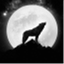 wolveshavereturned.wordpress.com