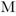 mastersonopticians.com