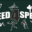 need4speed.org