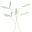 fioridesign.cl