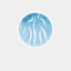 projectcert.com