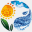 ene12.com