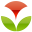 yidie.org