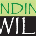 findingthewill.com