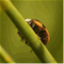 macropolo.me