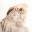didipedone.wordpress.com
