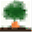 shop.thebigcarrot.ca