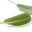 everythingsage.wordpress.com