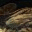 jbhmuddog.wordpress.com
