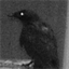 knowhowtree.com