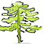 pineforestschool.org