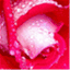 sedutoraafrodite.wordpress.com