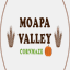 mvcornmaze.com