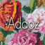 adaoz.fr