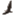 tsqdxg.com