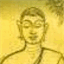 dhammadafloresta.org