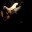 jeremykay.wordpress.com