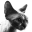 devonrex.su