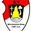 sv-woernitzstein-berg.de