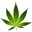 cannabis-sativa.ro