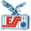 essfinland.com