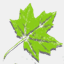 letusdoitlandscaping.com