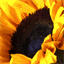bmac-design.com