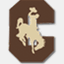 cshonlinestore.com