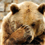 failbear.org