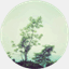 treessteps.org