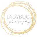 ladybugfoto.com