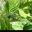 overkokend.wordpress.com