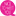 hollaroses.com
