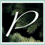 pinesbhs.org