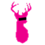 theawkwardstag.com
