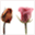 apromiseofhope.ca