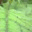 wildsolipsist.wordpress.com