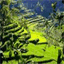 beneisa.over-blog.com