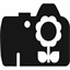 jonasblum.ch