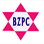 bayzu.com