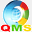 qmsthink.com