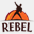 rebel-bootcamp.com