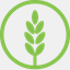 neolifeblog.ee