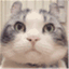 sayacat.wordpress.com