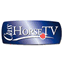 classhorsetv.it