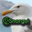 snorgul.com